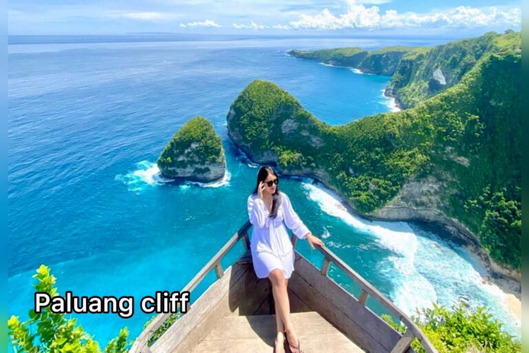 Paluang Cliff Nusa Penida