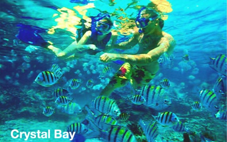 cristal-bay-snorkeling