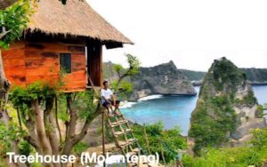 east penida one day package