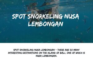 Spot Snorkeling Nusa Lembongan