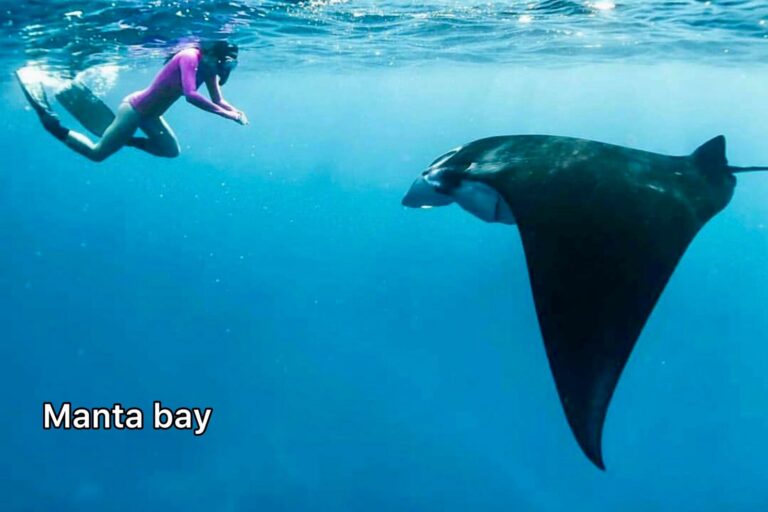 Manta Bay Nusa Penida